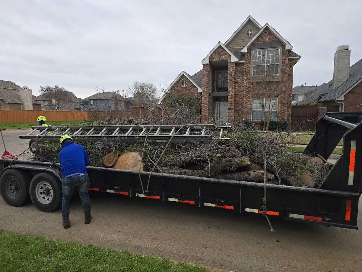 Expert Tree Pest Control with proper safety equipment in Frenchville